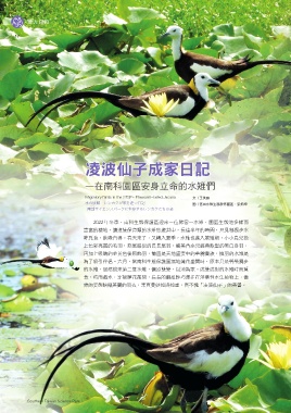 thumb_image