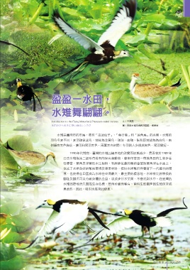thumb_image